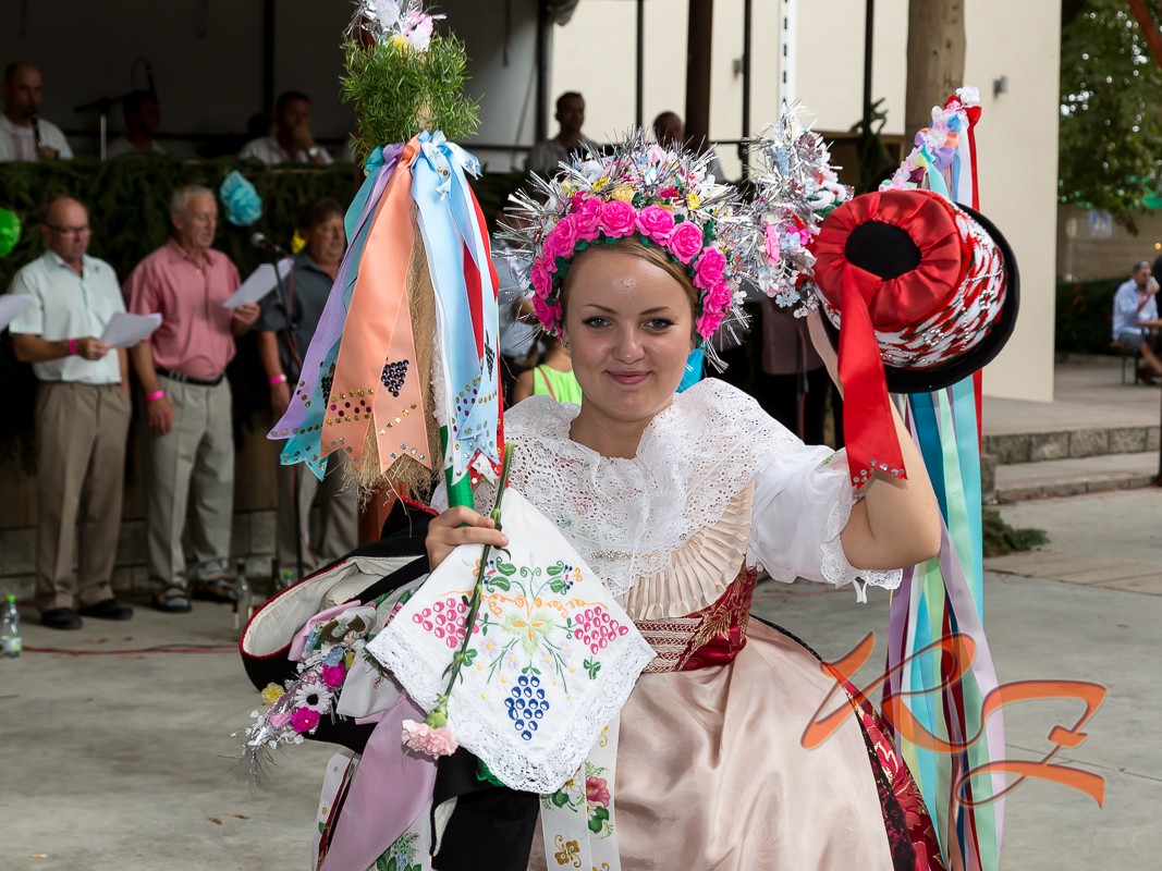 IMG 5471