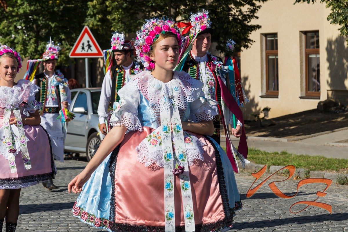 IMG 4884