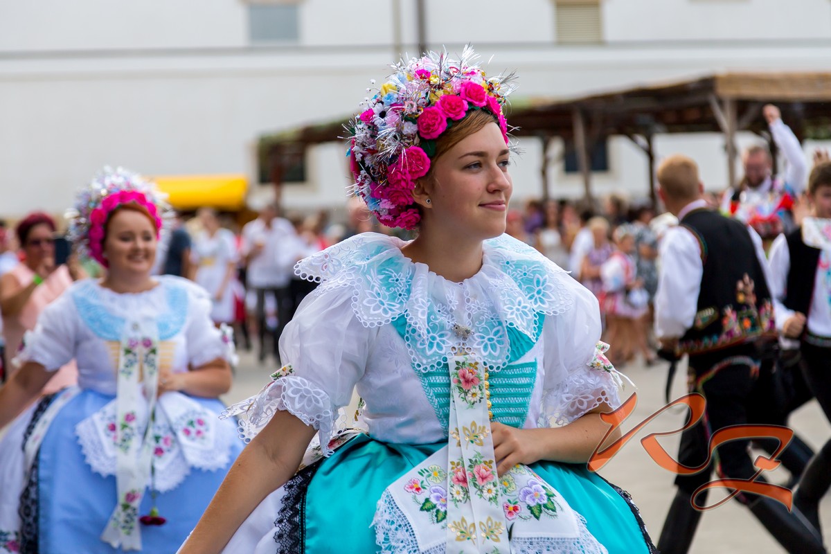 IMG 5966