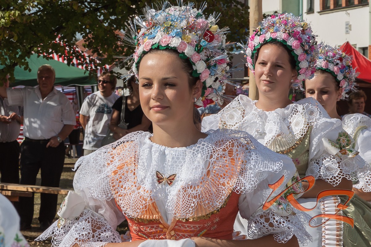 IMG 4561