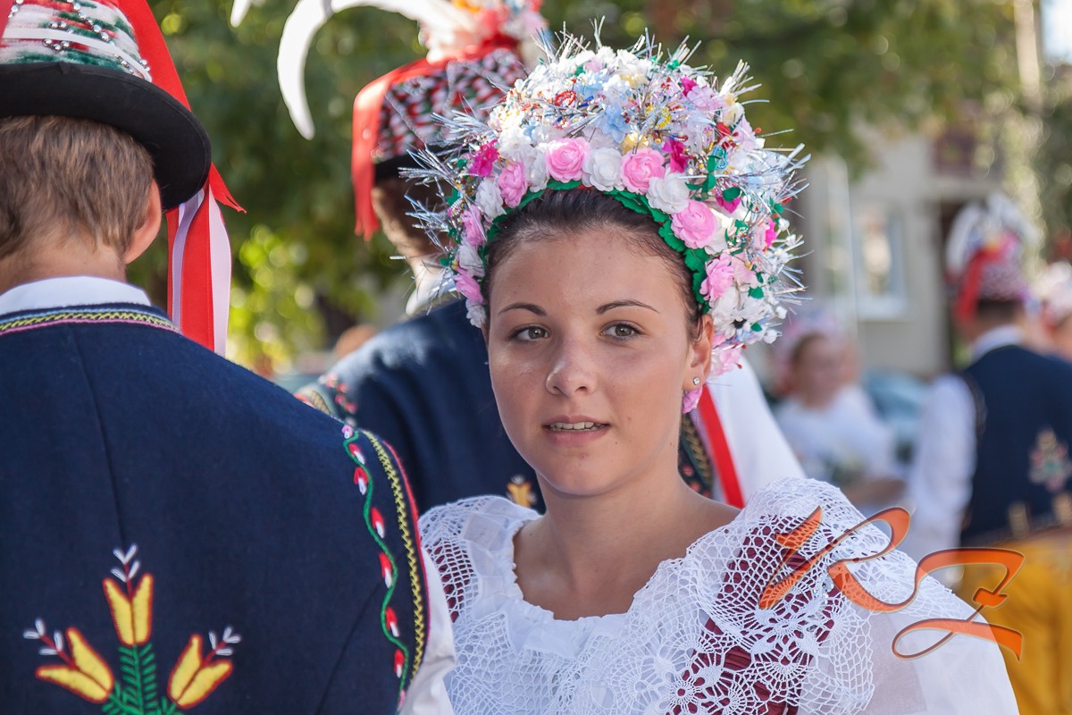 IMG 4684