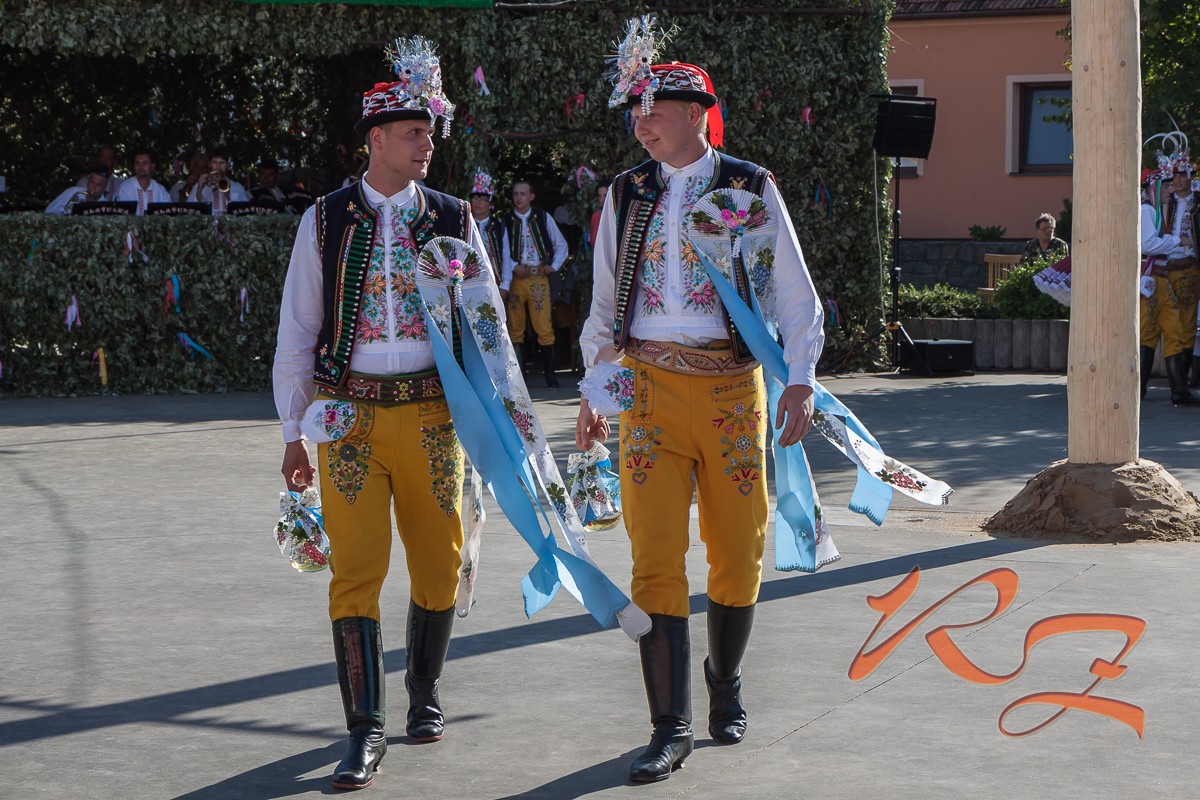 IMG 4689
